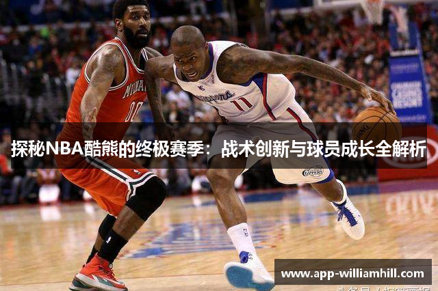 探秘NBA酷熊的终极赛季：战术创新与球员成长全解析